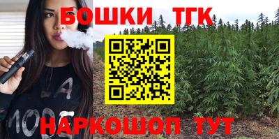 индика Будённовск
