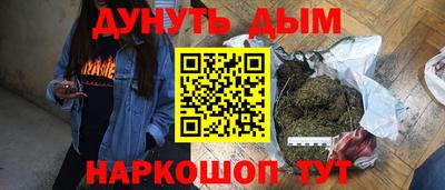 индика Будённовск