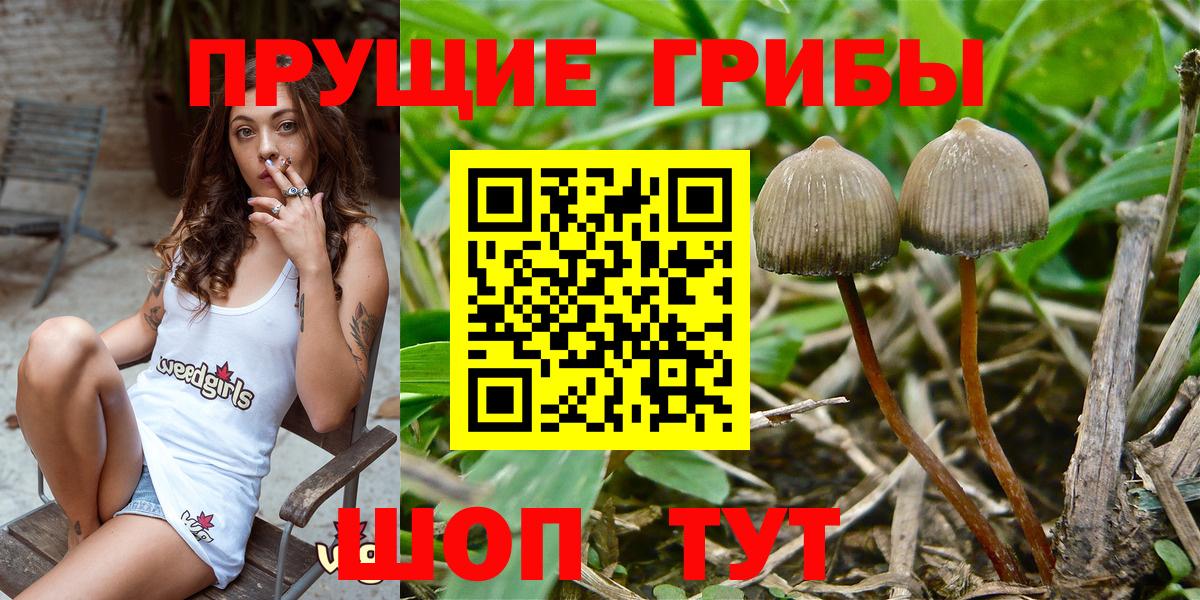Псилоцибиновые грибы Magic Shrooms Рославль
